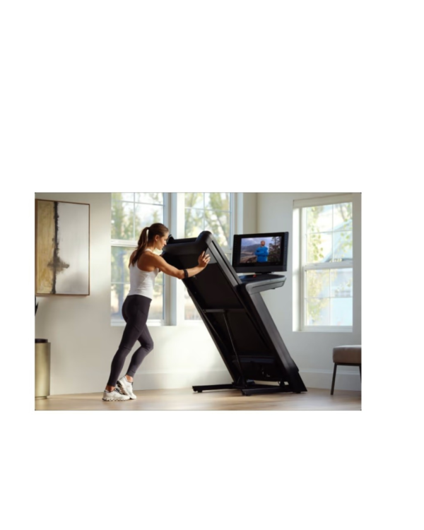 Design sans titre (20) Commercial 2450 NORDICTRACK