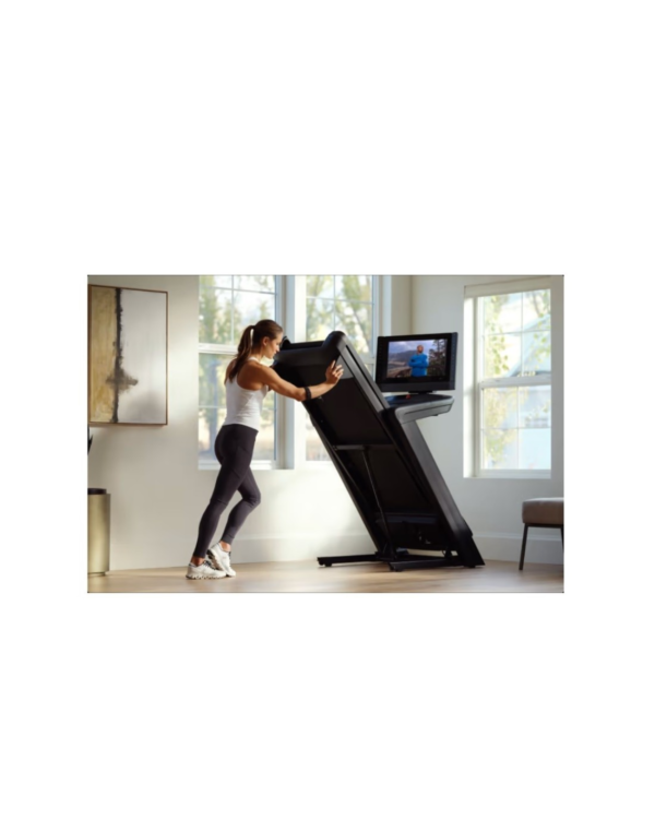 Design sans titre (47) Commercial 2450 NORDICTRACK